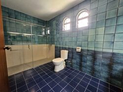 Jurong Park (D21), Detached #526283561
